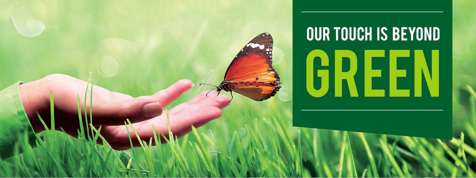 SGM Banner