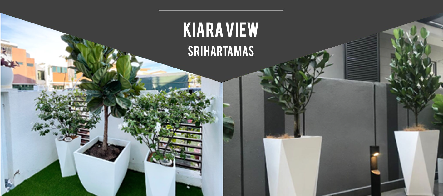 Kiara View