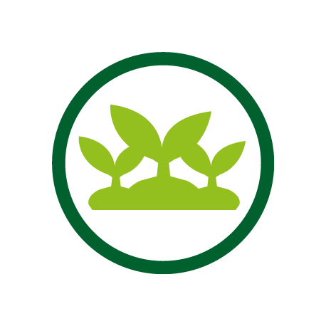 Home_Logo_7
