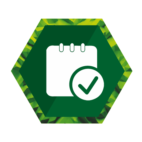 Logo_6