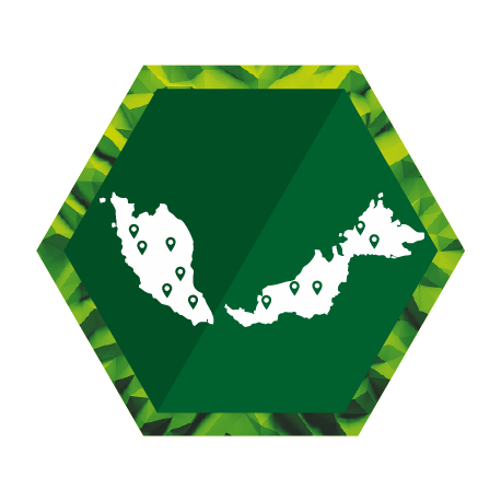 Logo_7