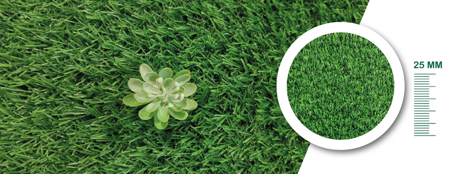 gm-earthly-banner